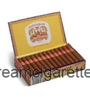 Partagas Short